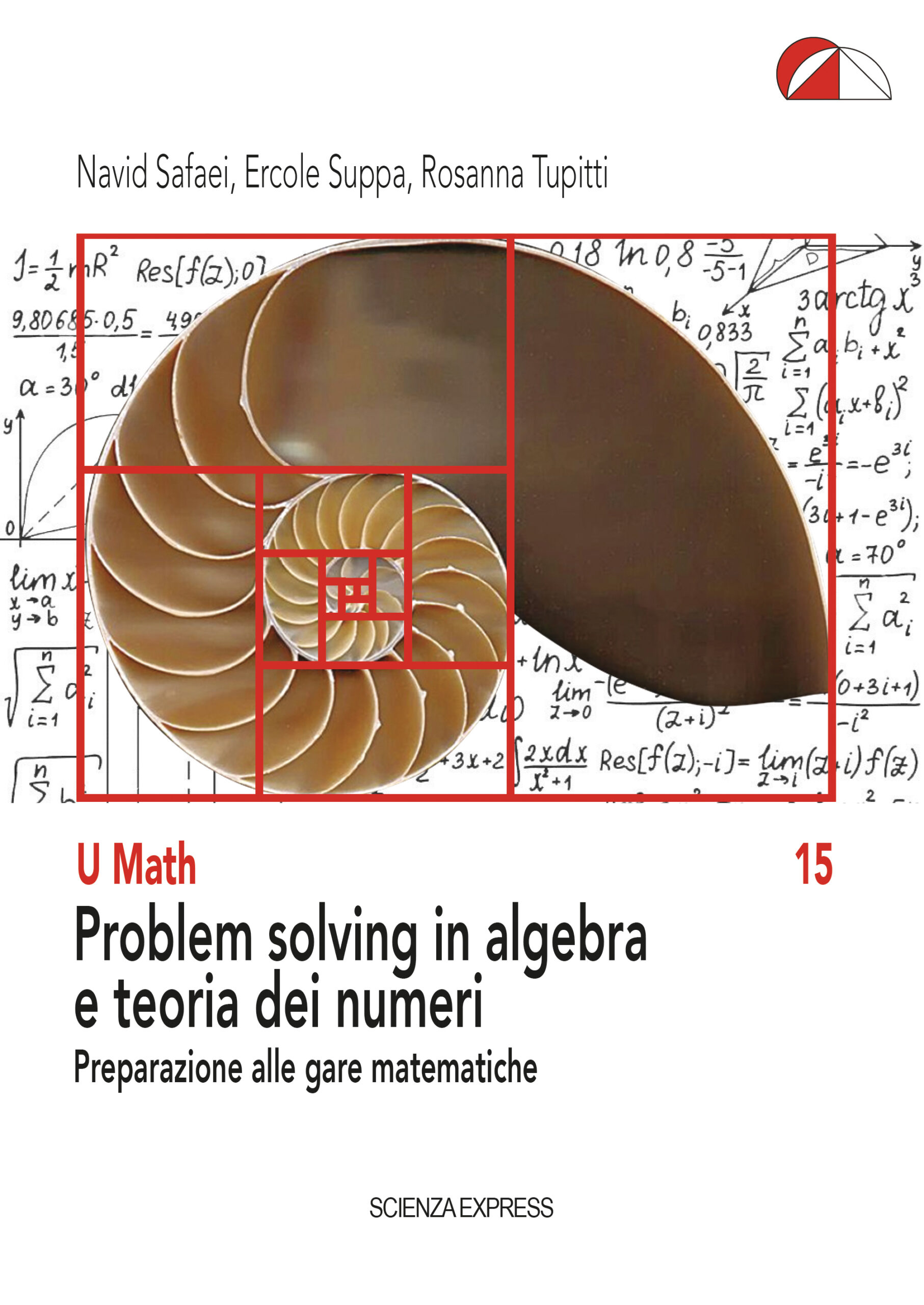 problem solving in algebra e teoria dei numeri